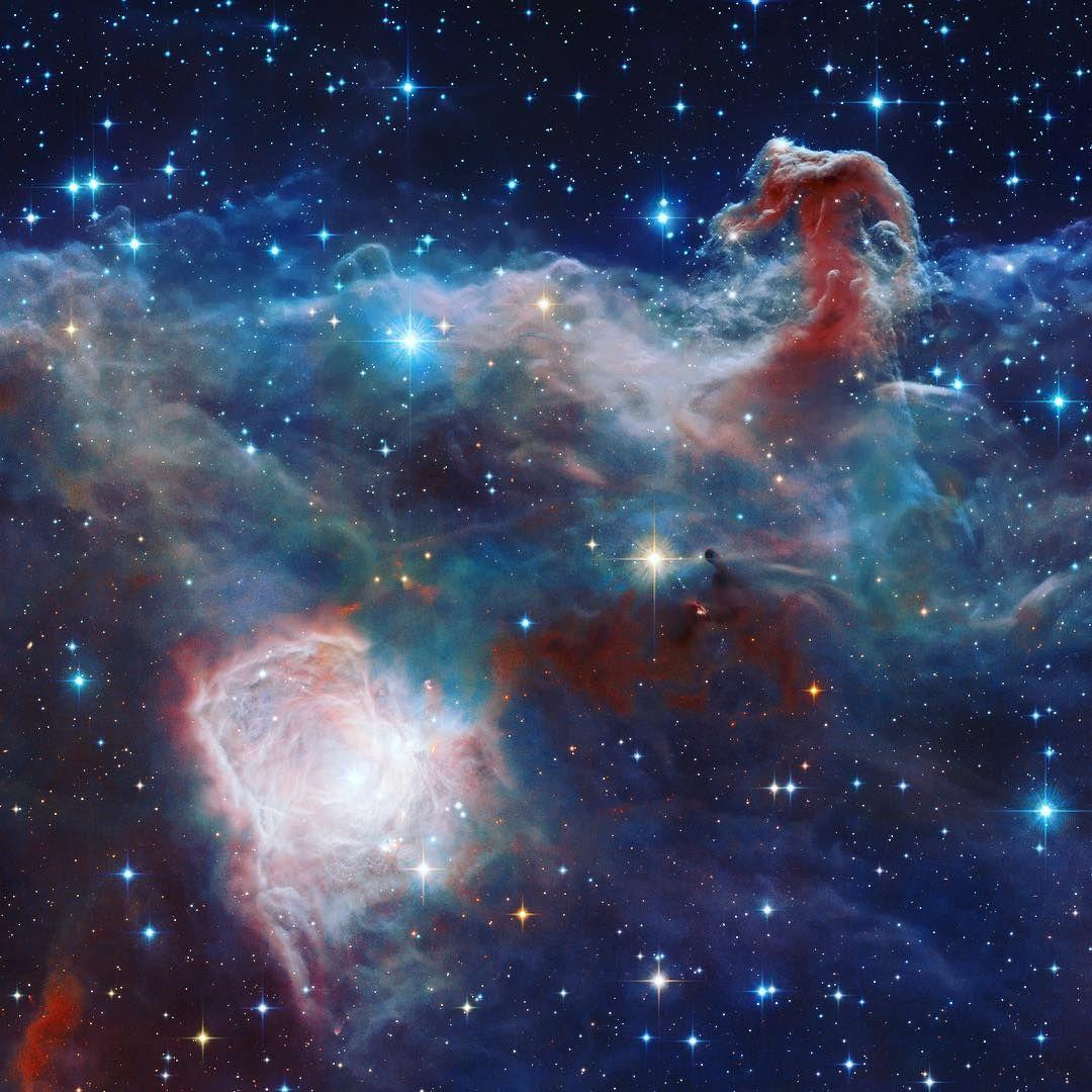 The Horsehead Nebula, a cloud of gas and dust in Orion.