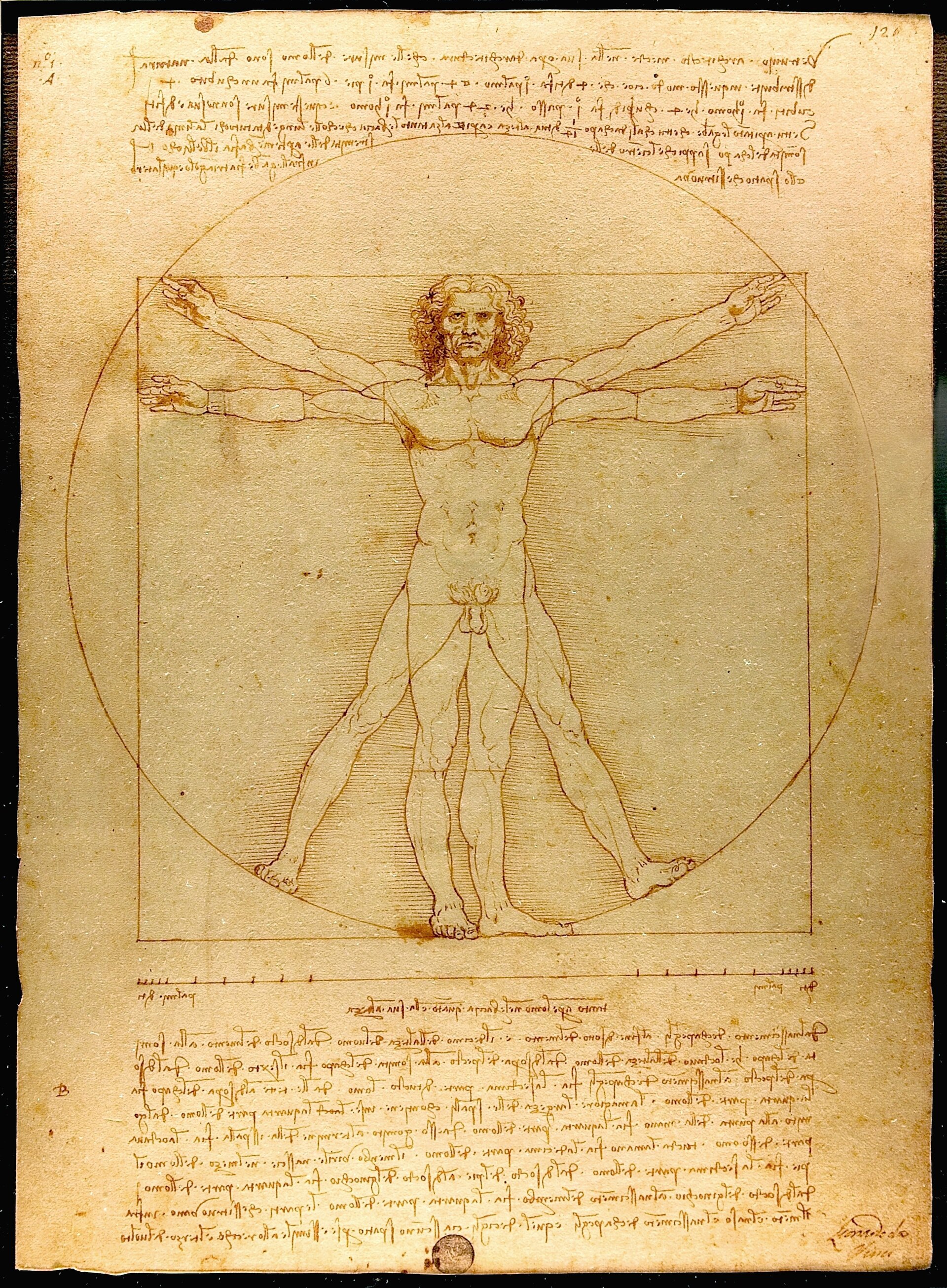 Leonardo da Vinci's Vitruvian Man.